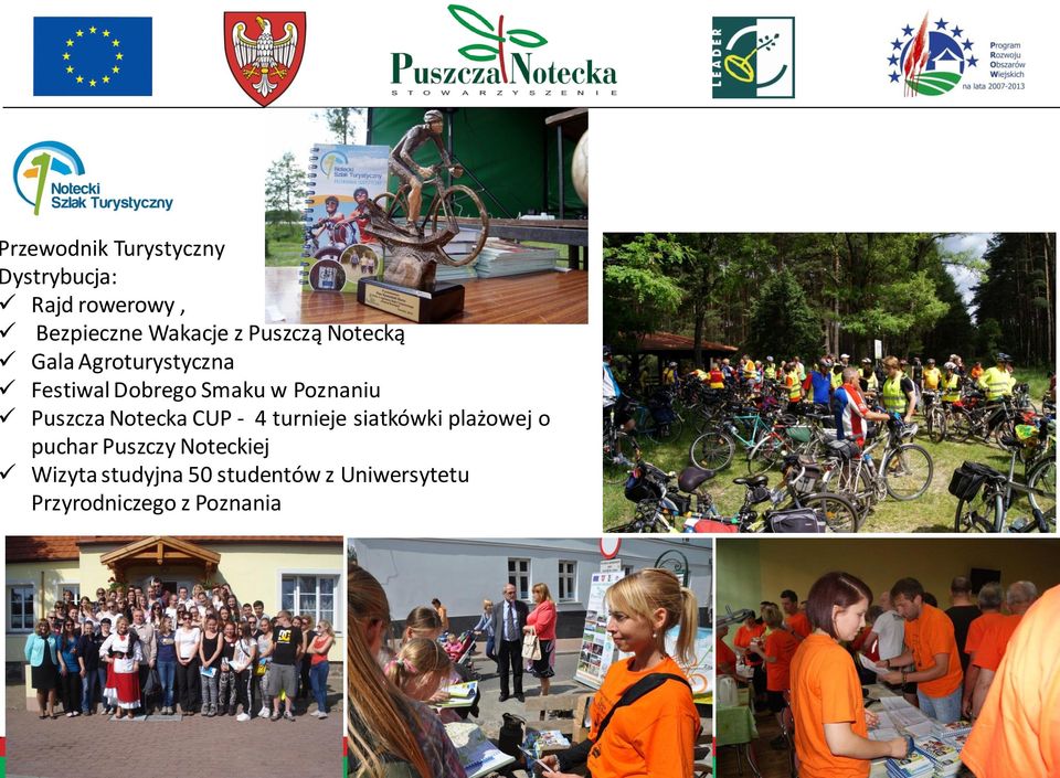 Puszcza Notecka CUP - 4 turnieje siatkówki plażowej o puchar Puszczy