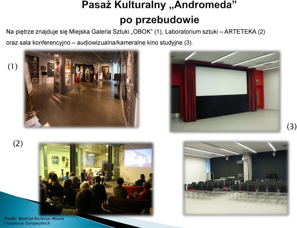 konferencyjno audiowizualna/kameralne kino studyjne (3).