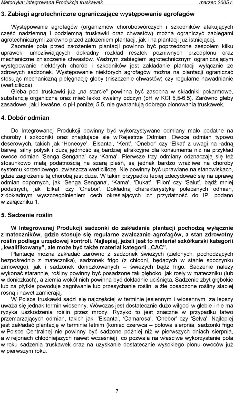 Zaoranie pola przed założeniem plantacji powinno być poprzedzone zespołem kilku uprawek, umożliwiających dokładny rozkład resztek pożniwnych przedplonu oraz mechaniczne zniszczenie chwastów.