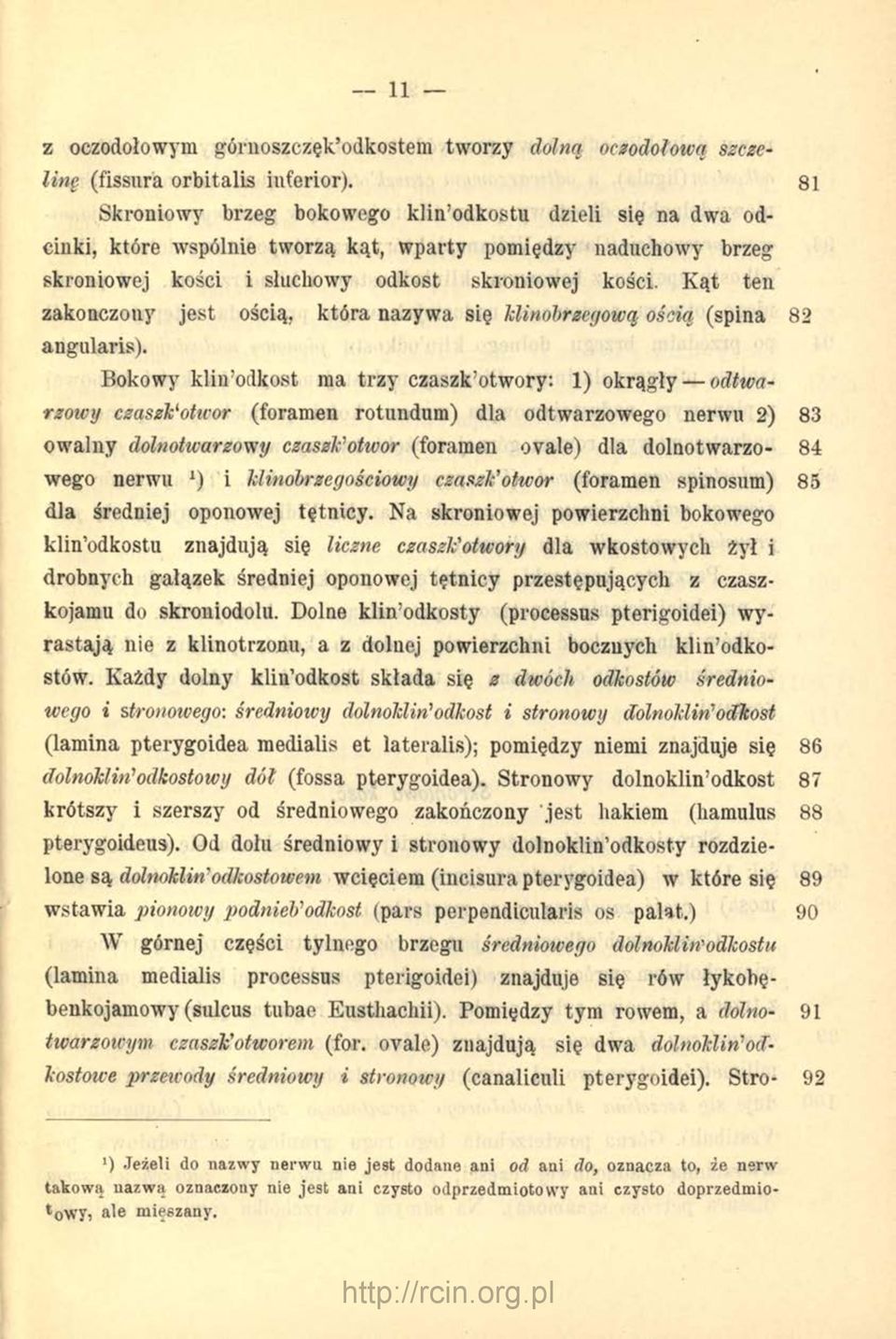 Kąt ten zakonczouy jest ością, która nazywa się klinobrzegową ością (spina 82 angularis).