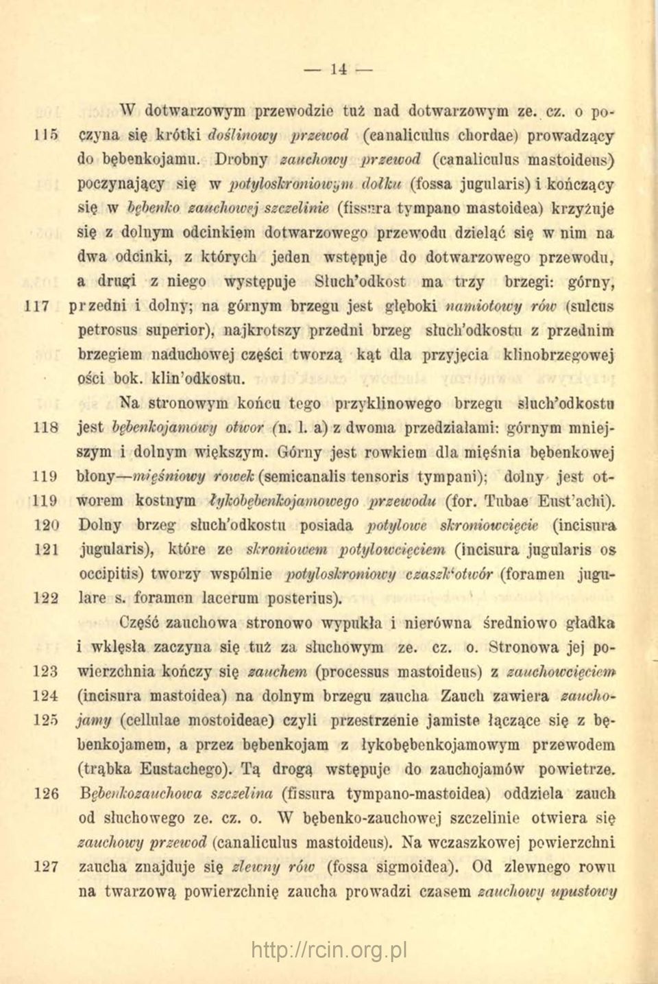 dolnym odcinkiem dotwarzowego przewodu dzieląc się w nim na dwa odcinki, z których jeden wstępuje do dotwarzowego przewodu, a drugi z niego występuje Słuch odkost ma trzy brzegi: górny, 117 przedni i