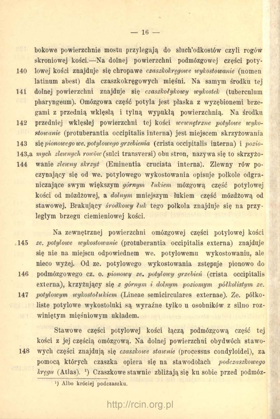 Na samym środku tej 141 dolnej powierzchni znajduje się czaszlcołykowy wylcostek (tuberculum pharyngeum).