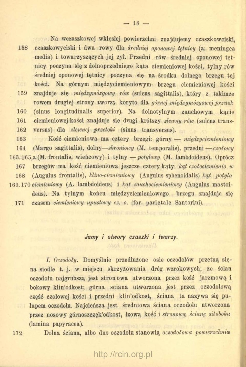 Na górnym międzyciemieniowym brzegu ciemieniowej kości 159 znajduje się międzymózgowg rów (sulcus sagittalis), który z takimże rowem drugiej strony tworzy koryto dla górnej między mózgowej przetok