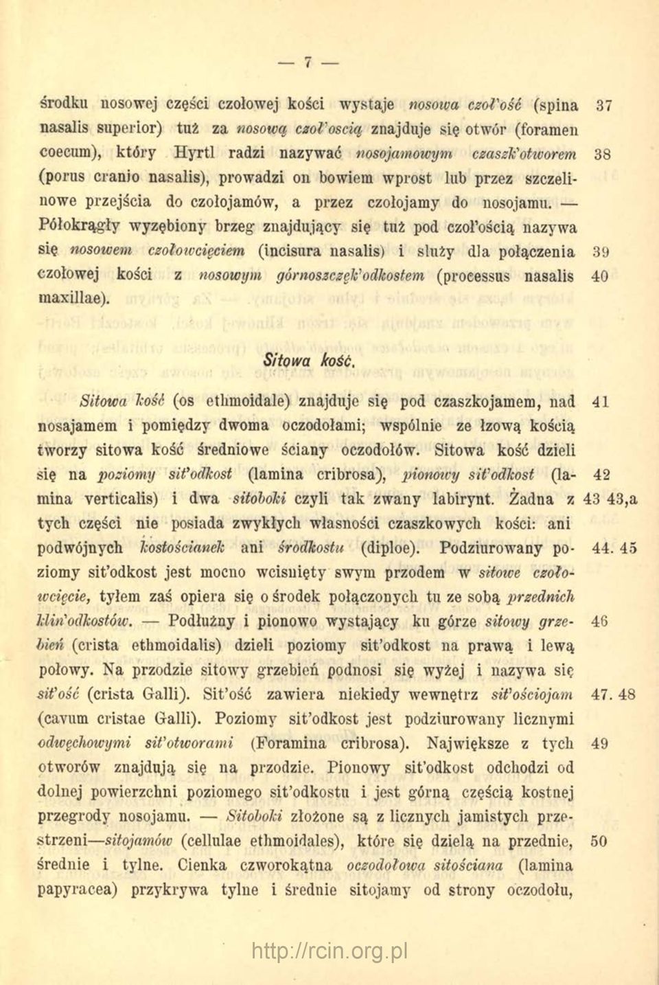 Półokrągły wyzębiony brzeg znajdujący się tuż pod czoł ością nazywa się nosowem czoloivcięciem (incisura nasalis) i służy dla połączenia 39 czołowej kości z nosowym górnoszczęk'1odkostem (proeessus