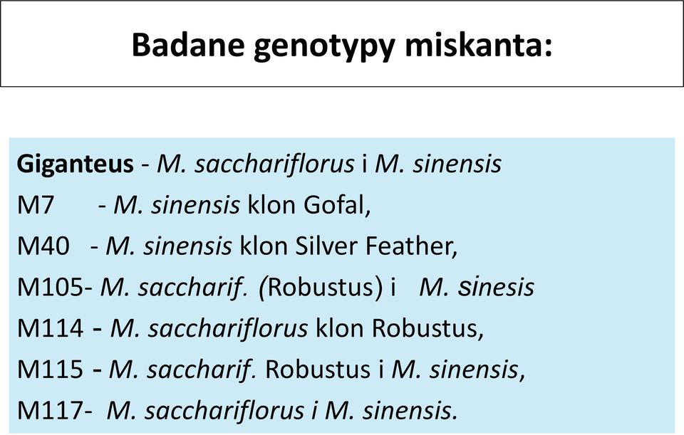 saccharif. (Robustus) i M. sinesis M114 - M.