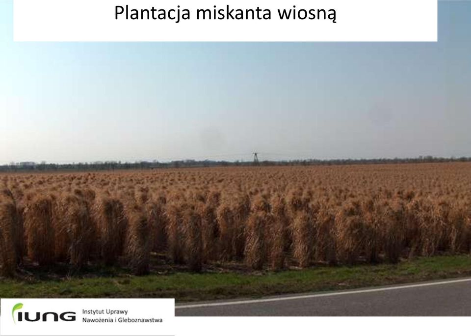 wiosną