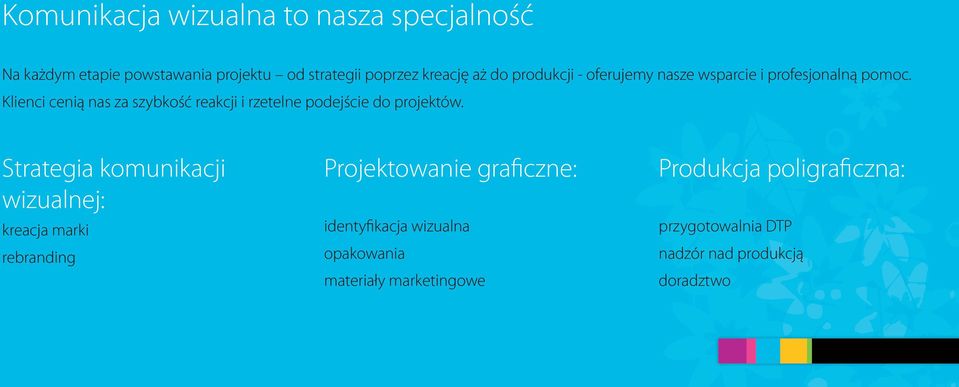 Klienci cenią nas za szybkość reakcji i rzetelne podejście do projektów.