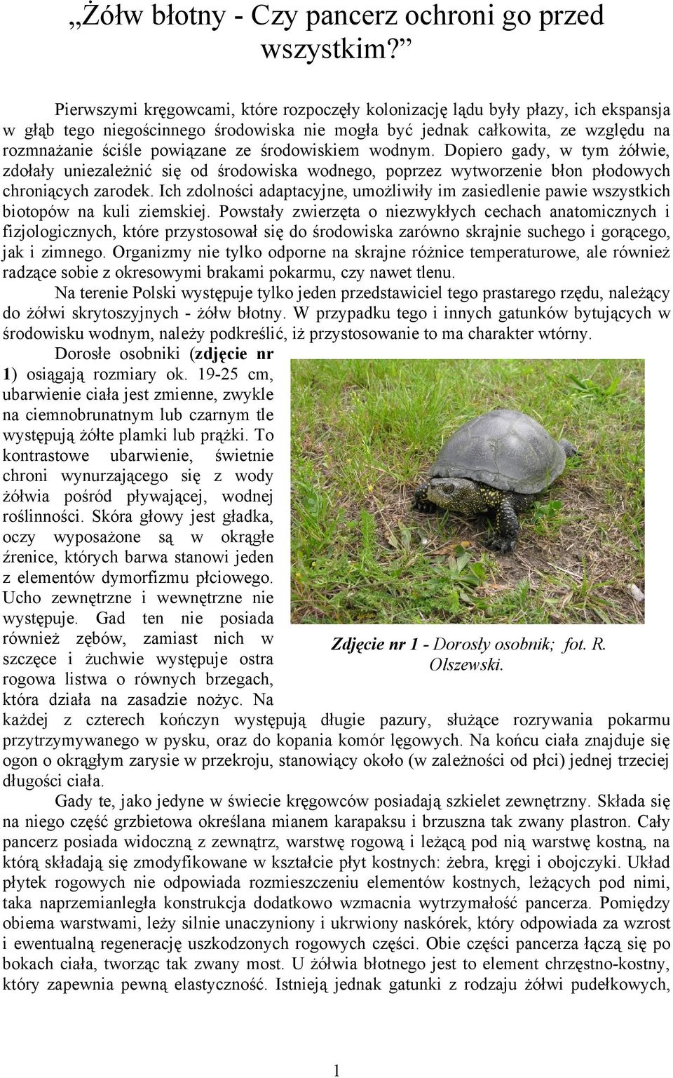 środowiskiem wodnym. Dopiero gady, w tym żółwie, zdołały uniezależnić się od środowiska wodnego, poprzez wytworzenie błon płodowych chroniących zarodek.