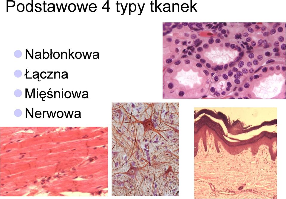 Nabłonkowa