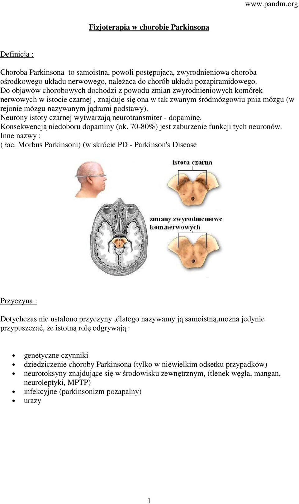 Neurony istoty czarnej wytwarzają neurotransmiter - dopaminę. Konsekwencją niedoboru dopaminy (ok. 70-80%) jest zaburzenie funkcji tych neuronów. Inne nazwy : ( łac.