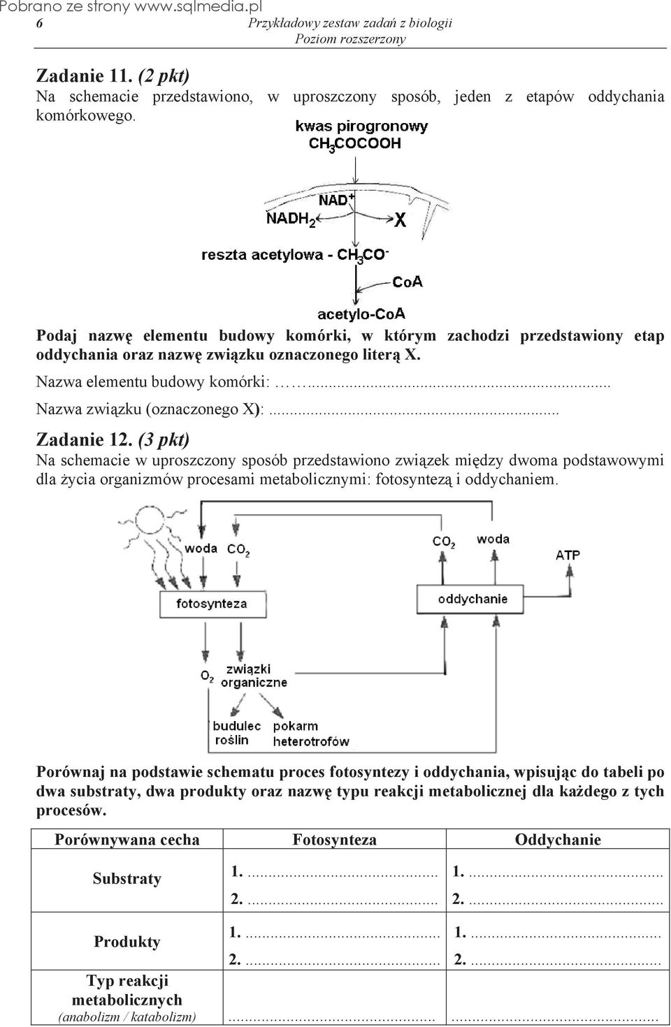 (3 pkt) Na schemacie w uproszczony sposób przedstawiono zwi zek mi dzy dwoma podstawowymi dla ycia organizmów procesami metabolicznymi: fotosyntez i oddychaniem.