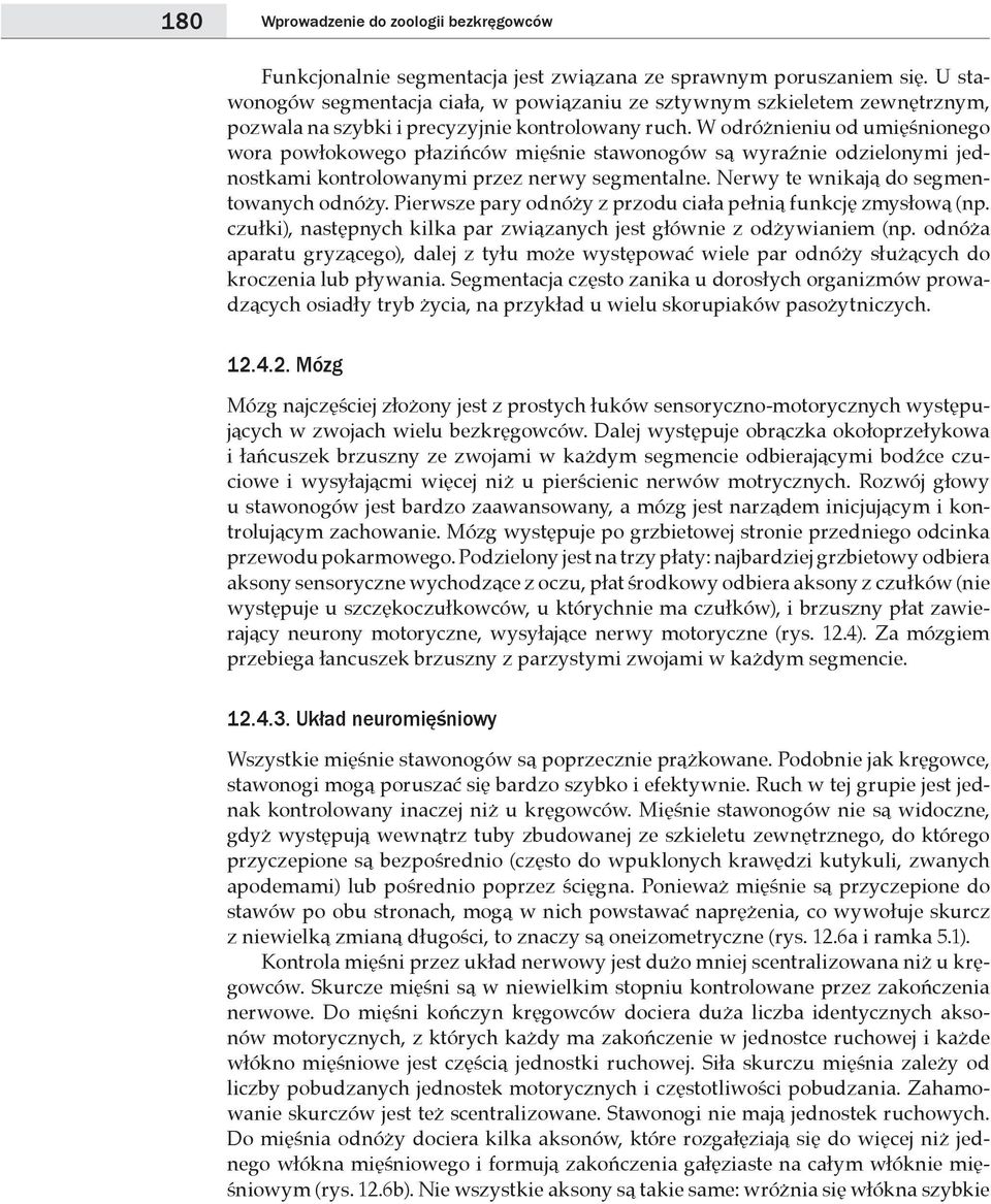 W odróżnieniu od umięśnionego wora powłokowego płazińców mięśnie stawonogów są wyraźnie odzielonymi jednostkami kontrolowanymi przez nerwy segmentalne. Nerwy te wnikają do segmentowanych odnóży.