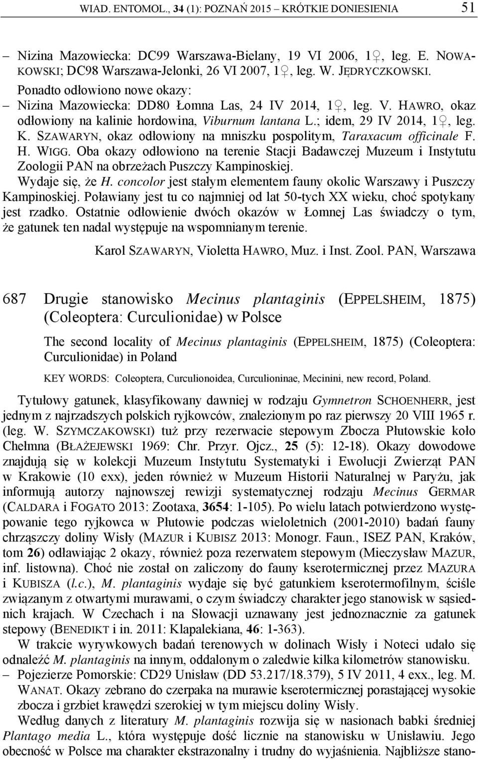 SZAWARYN, okaz odłowiony na mniszku pospolitym, Taraxacum officinale F. H. WIGG. Oba okazy odłowiono na terenie Stacji Badawczej Muzeum i Instytutu Zoologii PAN na obrzeżach Puszczy Kampinoskiej.