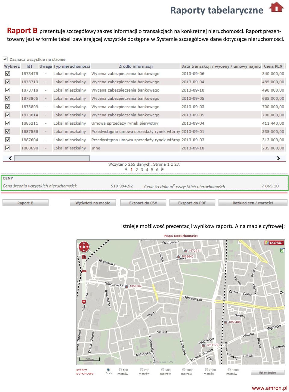 Raport prezentowany jest w formie tabeli zawierającej wszystkie dostępne w