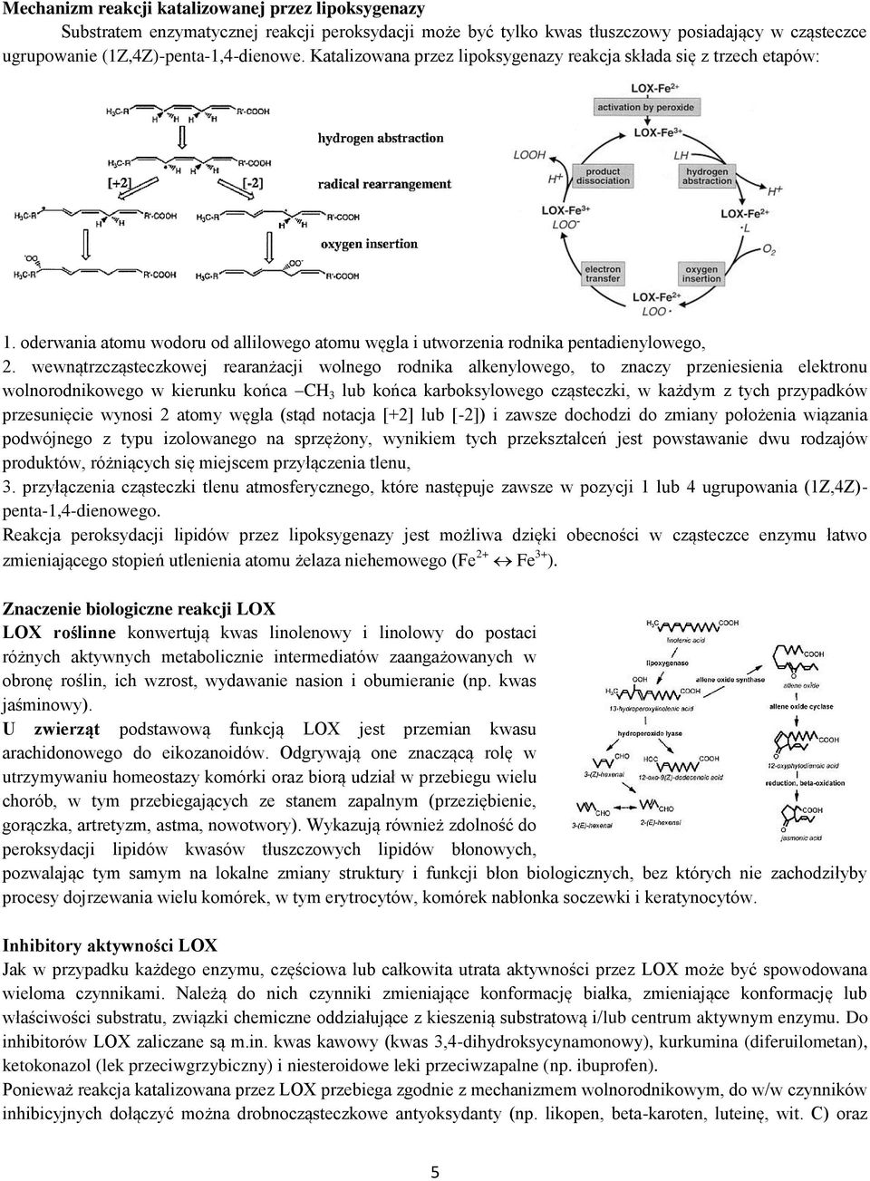 wewnątrzcząsteczkowej rearanżacji wolnego rodnika alkenylowego, to znaczy przeniesienia elektronu wolnorodnikowego w kierunku końca CH 3 lub końca karboksylowego cząsteczki, w każdym z tych