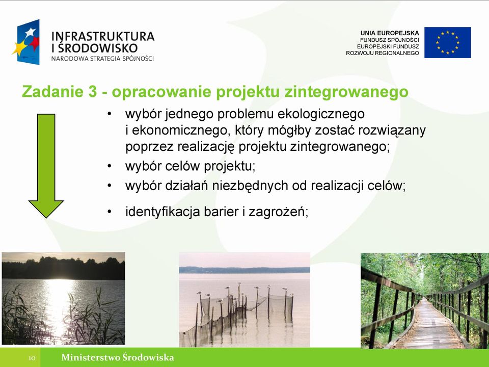 realizację projektu zintegrowanego; wybór celów projektu; wybór działań