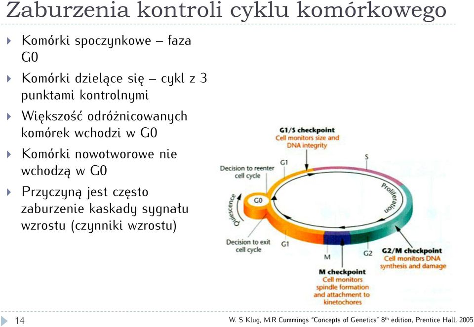 nowotworowe nie wchodzą w G0 rzyczyną jest często zaburzenie kaskady sygnału wzrostu