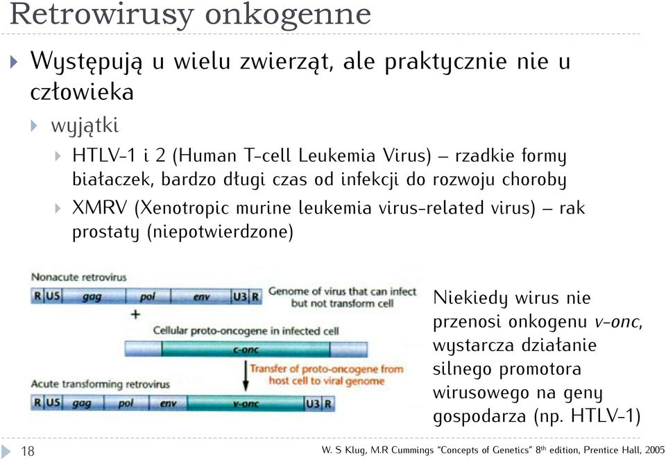 virus-related virus) rak prostaty (niepotwierdzone) Niekiedy wirus nie przenosi onkogenu v-onc, wystarcza działanie silnego