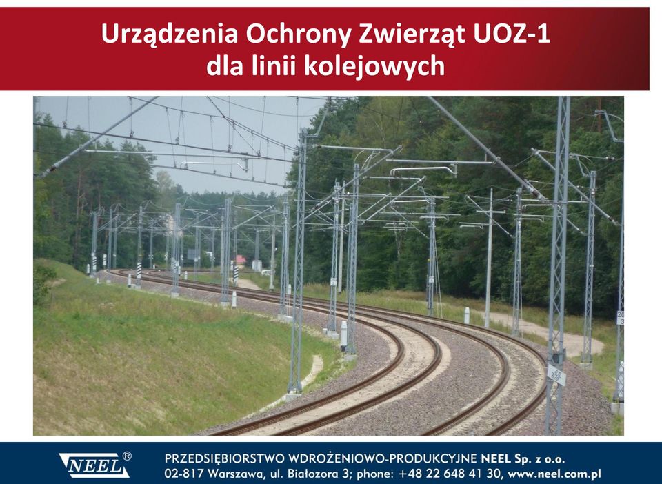 Zwierząt