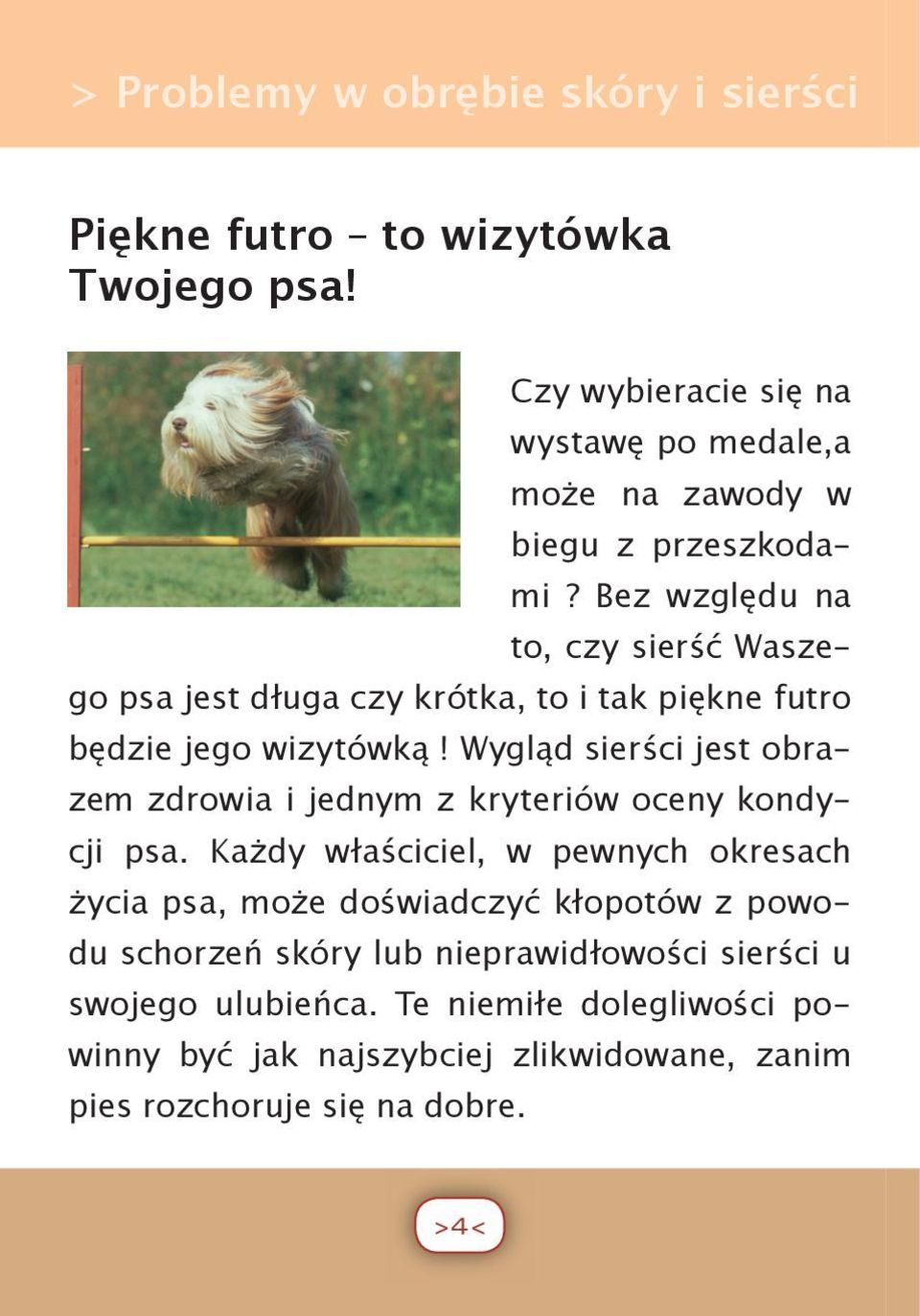 Bez względu na to, czy sierść Waszego psa jest długa czy krótka, to i tak piękne futro będzie jego wizytówką!