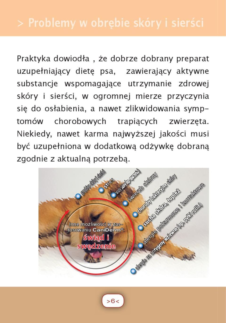 Niekiedy, nawet karma najwyższej jakości musi być uzupełniona w dodatkową odżywkę dobraną ura zy s kór y (n p.