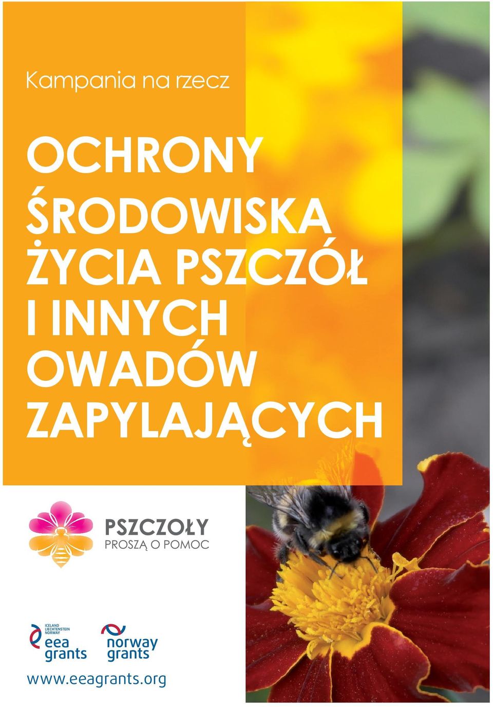 PSZCZÓŁ I INNYCH OWADÓW