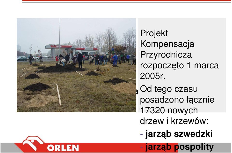 Od tego czasu posadzono łącznie 17320 nowych