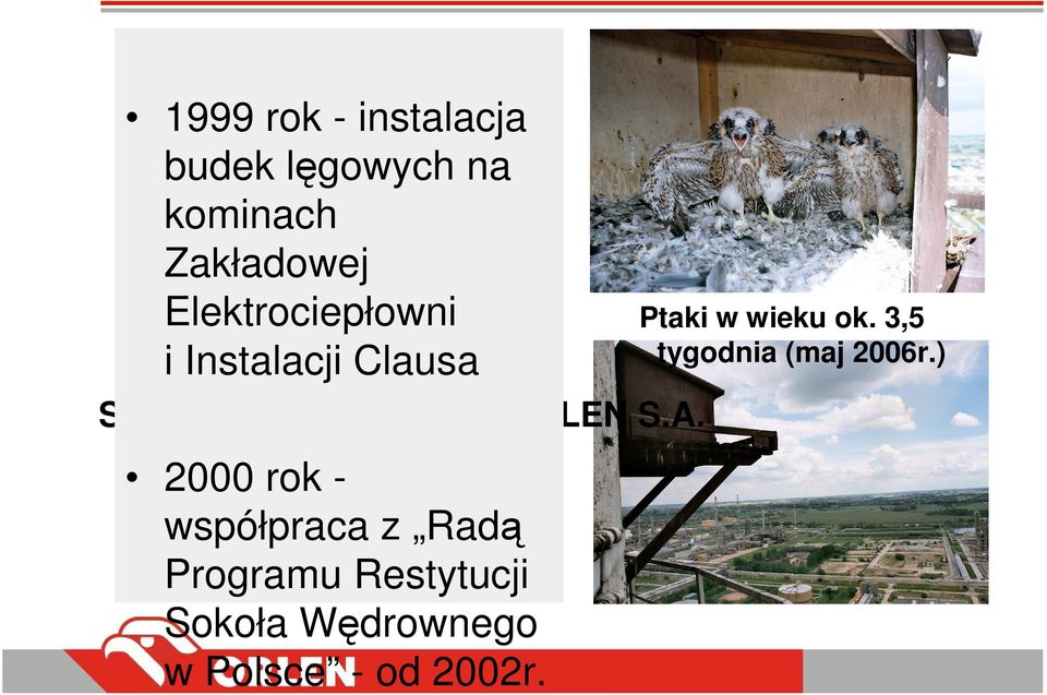 S.A. 2000 rok - współpraca z Radą Programu Restytucji Sokoła