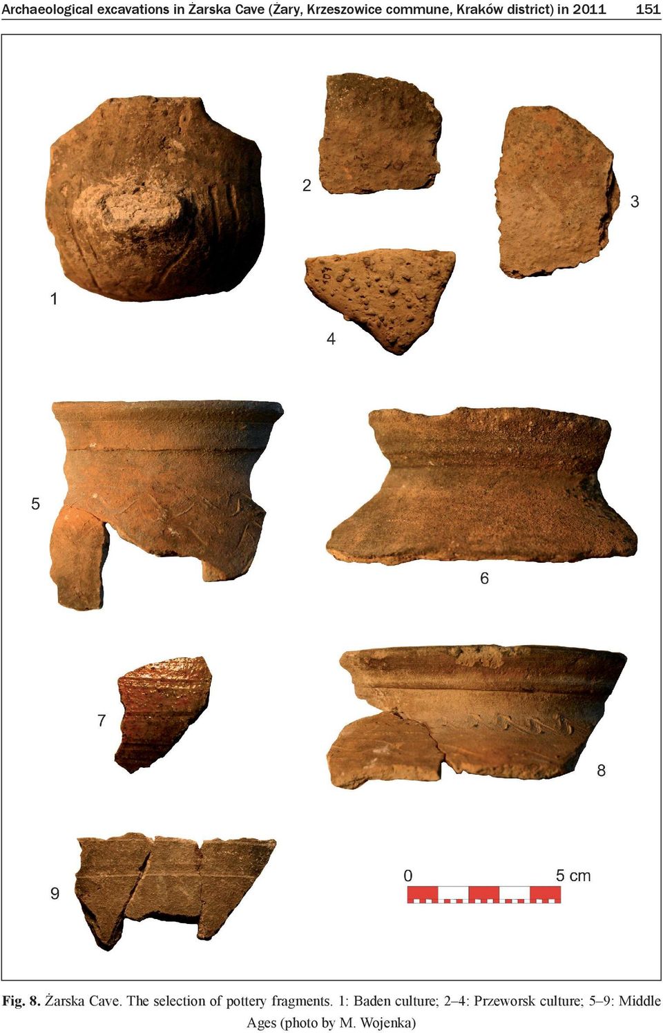 Żarska Cave. The selection of pottery fragments.