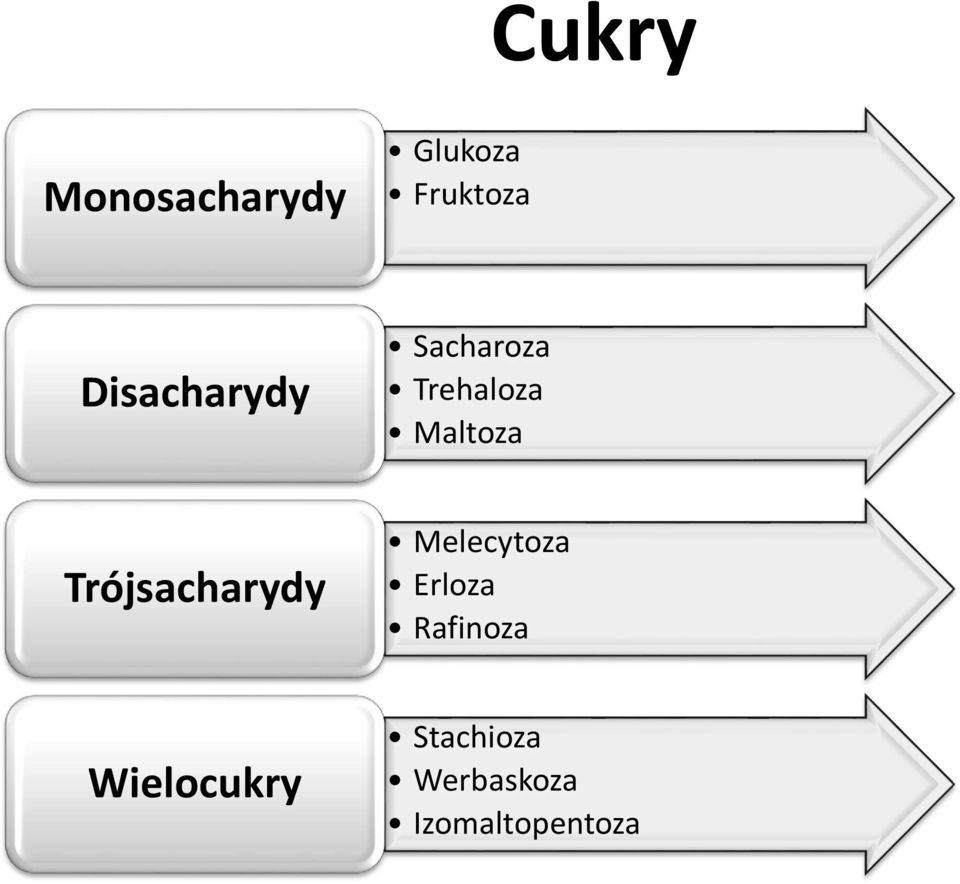 Trójsacharydy Melecytoza Erloza Rafinoza