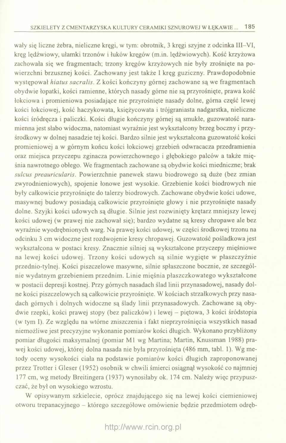 Kość krzyżowa zachowała się we fragmentach; trzony kręgów krzyżowych nie były zrośnięte na powierzchni brzusznej kości. Zachowany jest także I kręg guziczny. Prawdopodobnie występował hiatus sacralis.