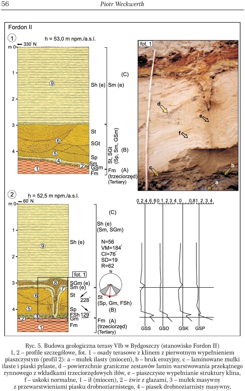 piaski pylaste, d powierzchnie graniczne zestawów lamin warstwowania przekątnego rynnowego z wkładkami trzeciorzędowych iłów, e piaszczyste