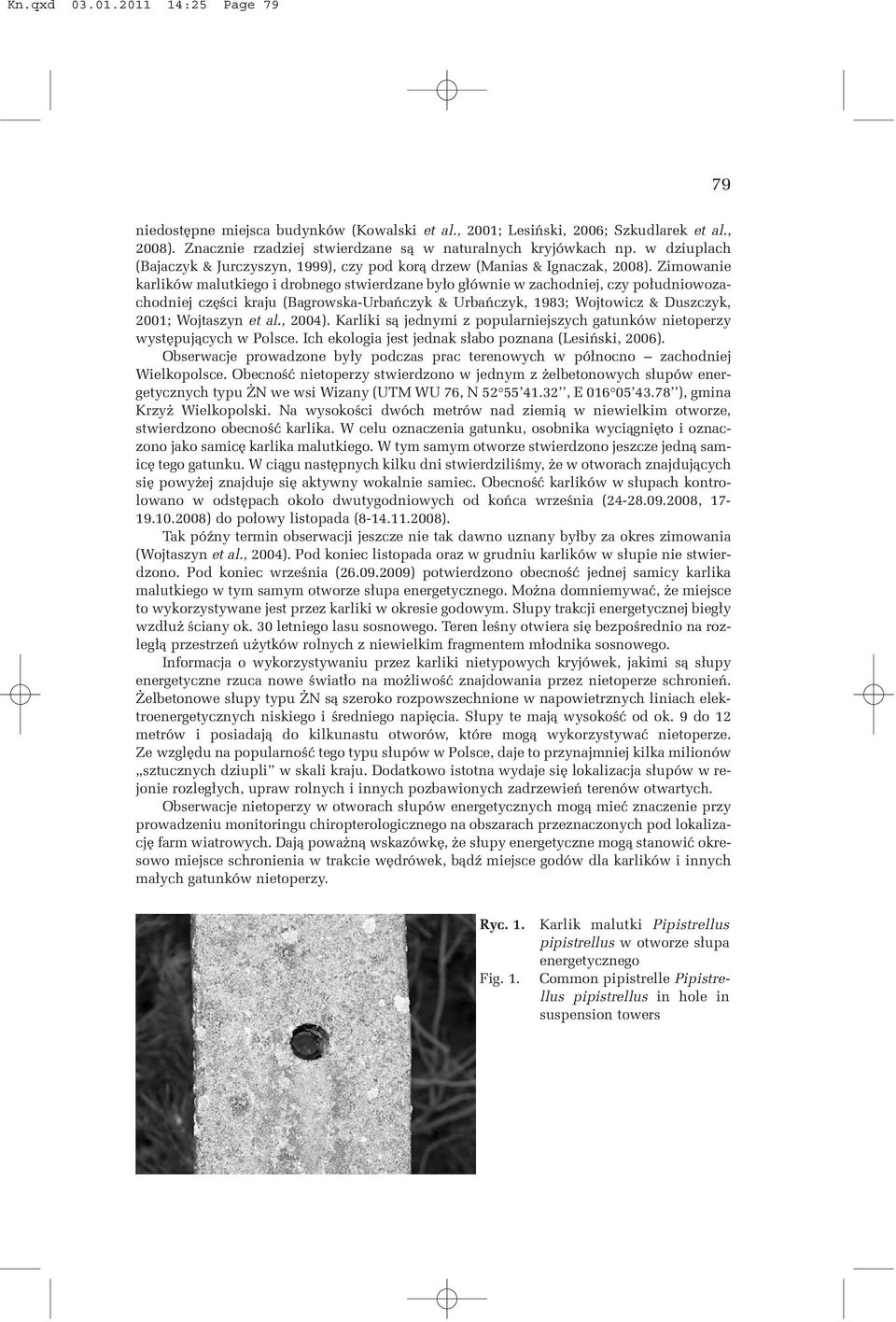 Zimowanie karlików malutkiego i drobnego stwierdzane by³o g³ównie w zachodniej, czy po³udniowozachodniej czêœci kraju (Bagrowska-Urbañczyk & Urbañczyk, 1983; Wojtowicz & Duszczyk, 2001; Wojtaszyn et