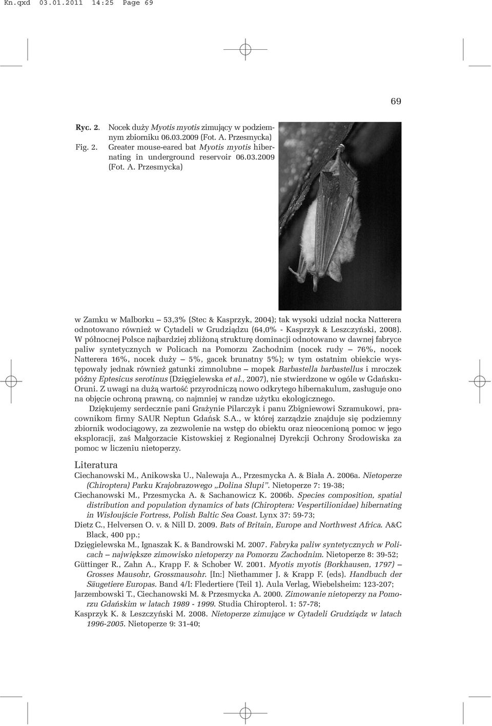 Przesmycka) w Zamku w Malborku 53,3% (Stec & Kasprzyk, 2004); tak wysoki udzia³ nocka Natterera odnotowano równie w Cytadeli w Grudzi¹dzu (64,0% - Kasprzyk & Leszczyñski, 2008).