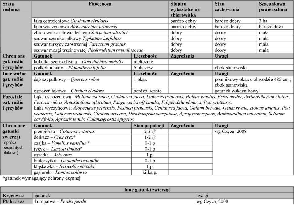 Caricetum gracilis dobry dobry mała szuwar mozgi trzcinowatej Phalaridetum arundinaceae dobry dobry mała Gatunek Liczebność Zagrożenia Uwagi kukułka szerokolistna Dactylorhiza majalis nielicznie