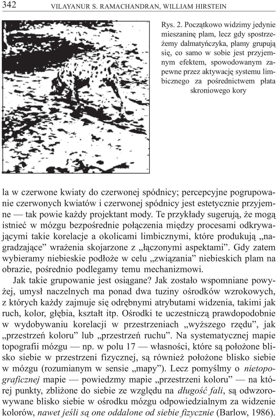 za poœrednictwem p³ata skroniowego kory la w czerwone kwiaty do czerwonej spódnicy; percepcyjne pogrupowanie czerwonych kwiatów i czerwonej spódnicy jest estetycznie przyjemne tak powie ka dy