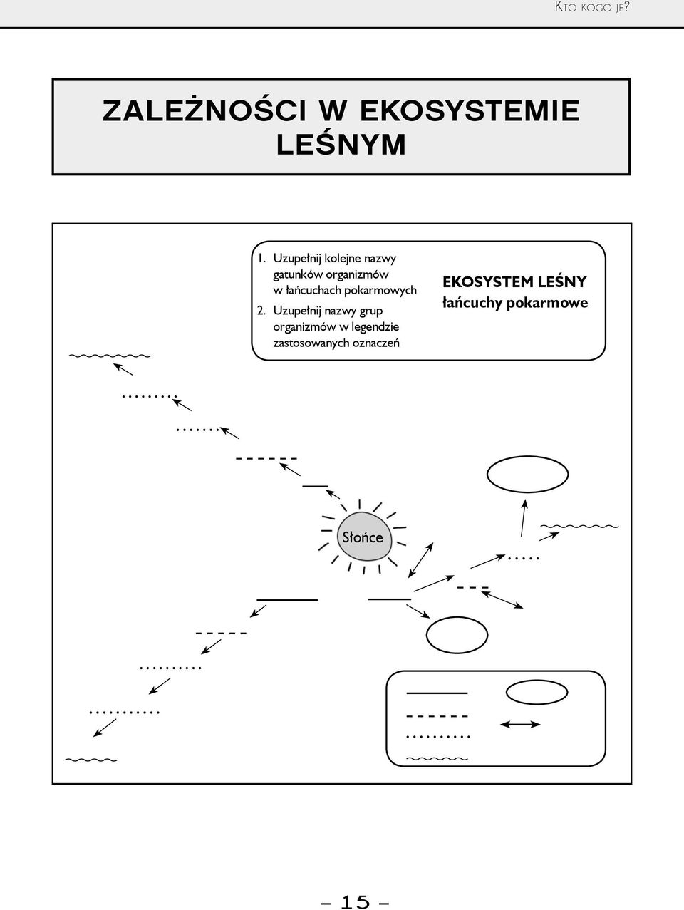 łańcuchach pokarmowych 2.