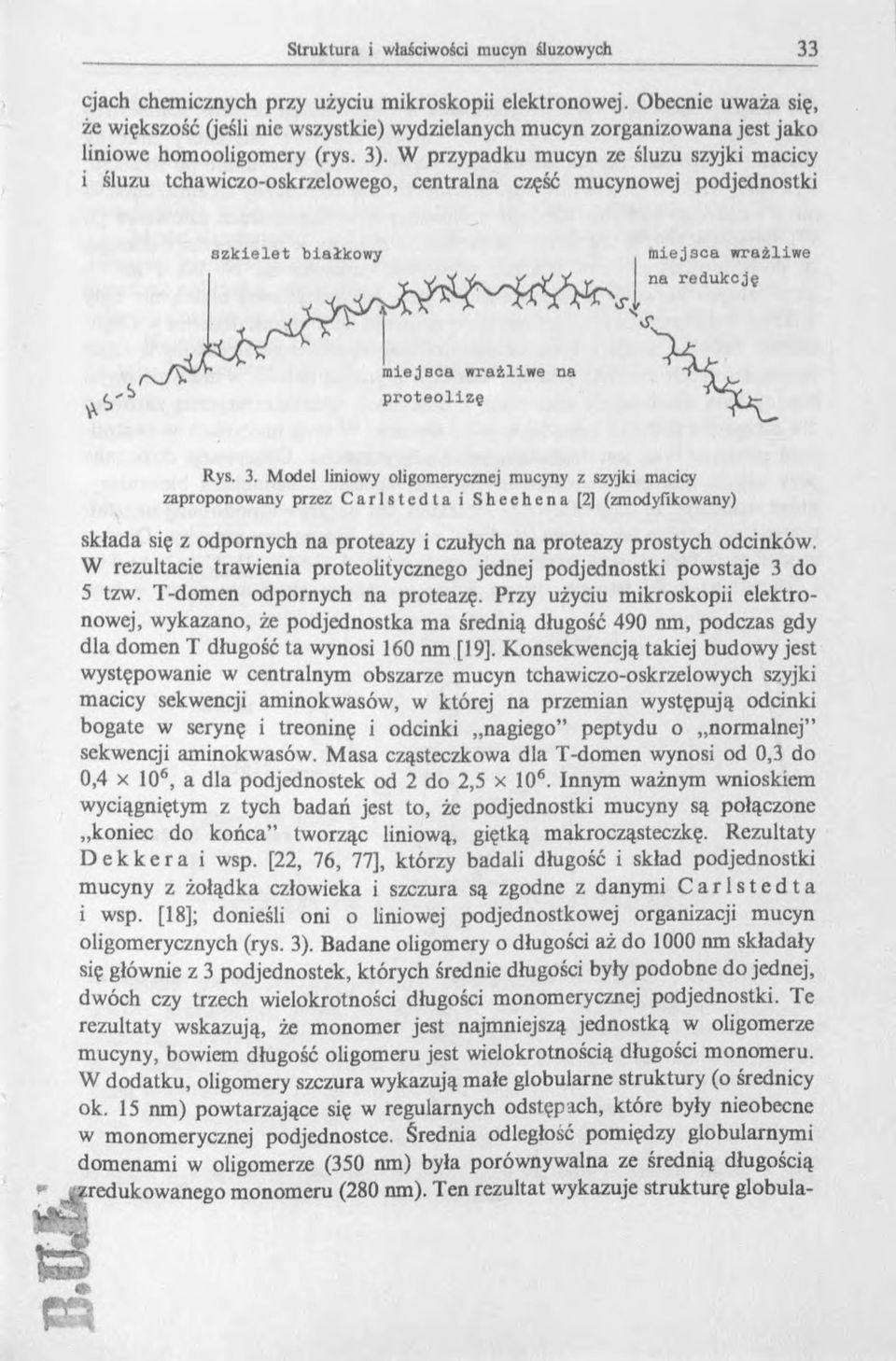 Model liniowy oligomerycznej mucyny z szyjki macicy zaproponowany przez Carlstedta i Sheehena [2] (zmodyfikowany) składa się z odpornych na proteazy i czułych na proteazy prostych odcinków.