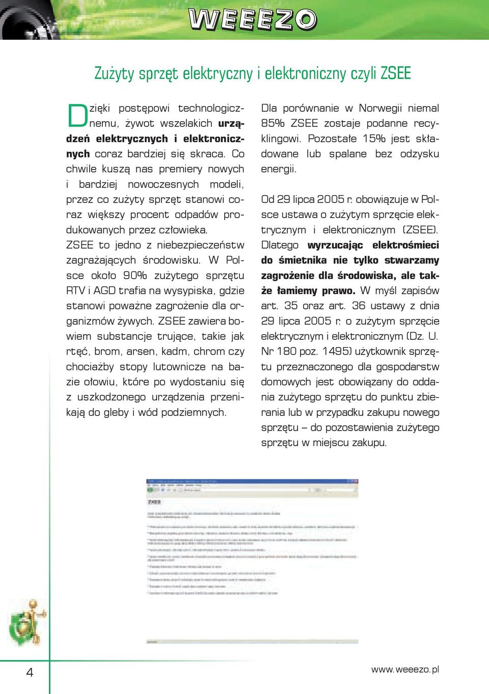 ZSEE to jedno z niebezpieczeństw zagrażających środowisku. W Polsce około 90% zużytego sprzętu RTV i AGD trafia na wysypiska, gdzie stanowi poważne zagrożenie dla organizmów żywych.