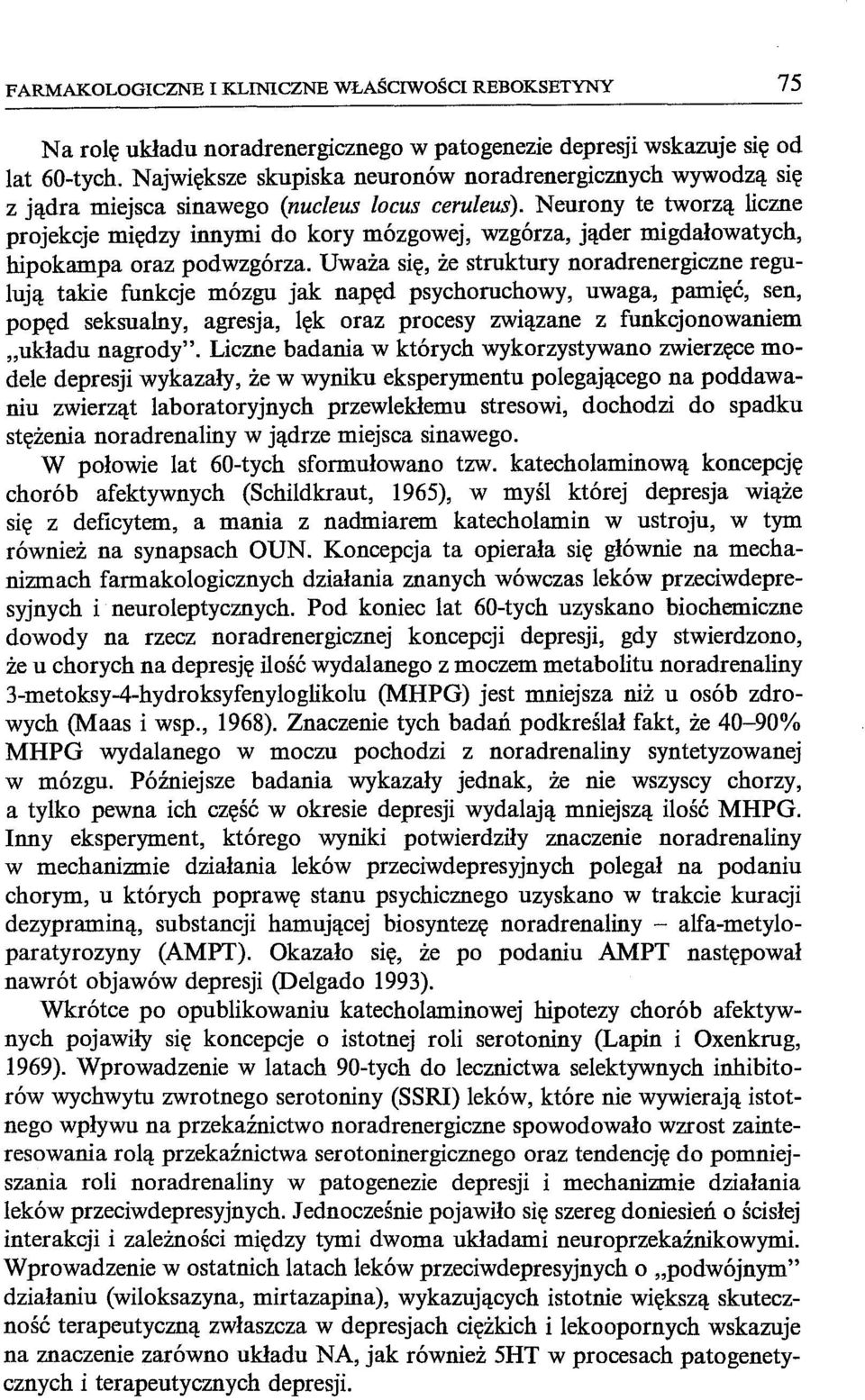 Neurony te tworzą liczne projekcje między innymi do kory mózgowej, wzgórza, jąder migdałowatych, hipokampa oraz podwzgórza.