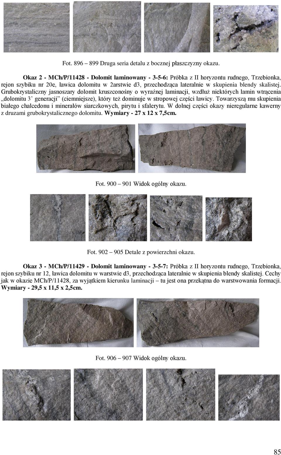 Grubokrystaliczny jasnoszary dolomit kruszconośny o wyraźnej laminacji, wzdłuż niektórych lamin wtrącenia dolomitu 3 generacji (ciemniejsze), który też dominuje w stropowej części ławicy.