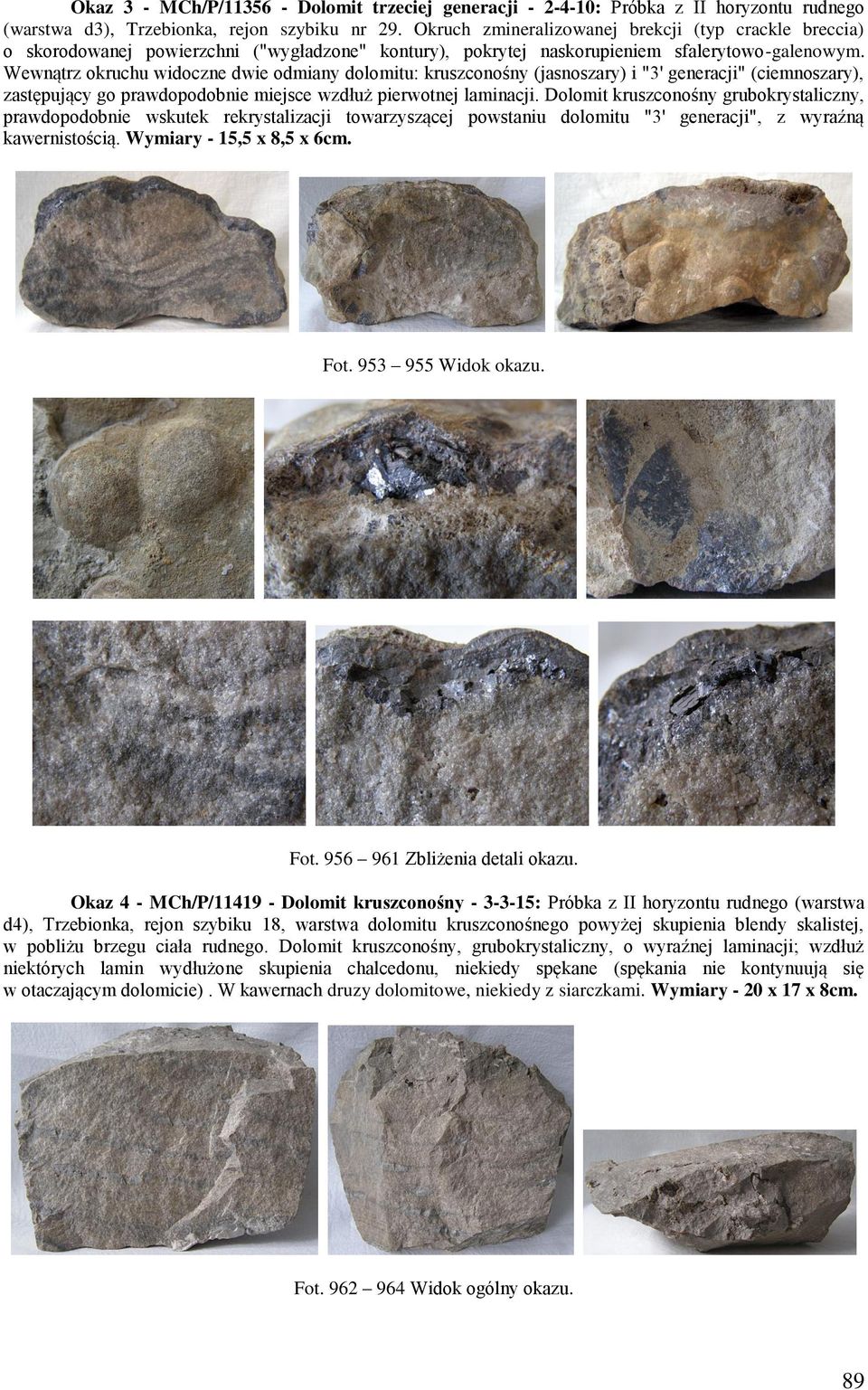 Wewnątrz okruchu widoczne dwie odmiany dolomitu: kruszconośny (jasnoszary) i "3' generacji" (ciemnoszary), zastępujący go prawdopodobnie miejsce wzdłuż pierwotnej laminacji.