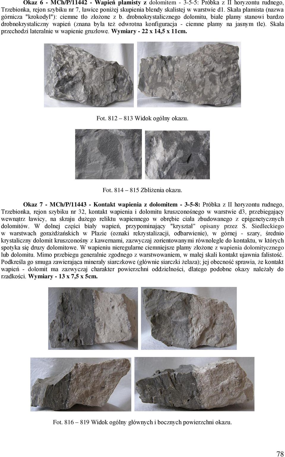 drobnokrystalicznego dolomitu, białe plamy stanowi bardzo drobnokrystaliczny wapień (znana była też odwrotna konfiguracja - ciemne plamy na jasnym tle).