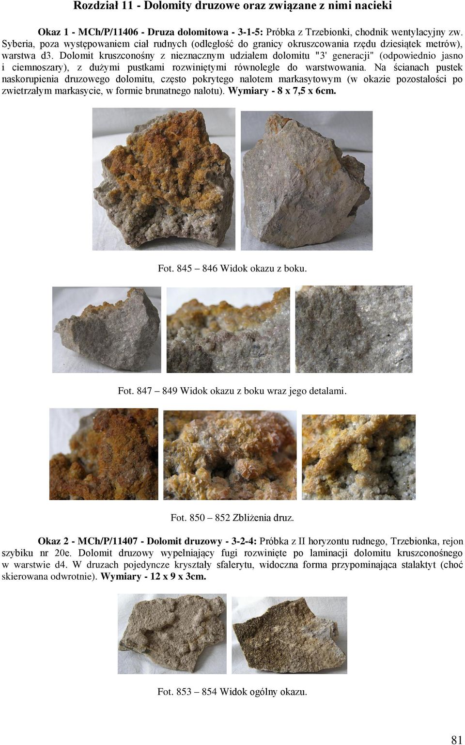 Dolomit kruszconośny z nieznacznym udziałem dolomitu "3' generacji" (odpowiednio jasno i ciemnoszary), z dużymi pustkami rozwiniętymi równolegle do warstwowania.