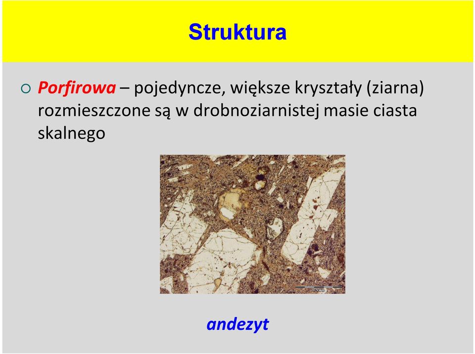 (ziarna) rozmieszczone są w