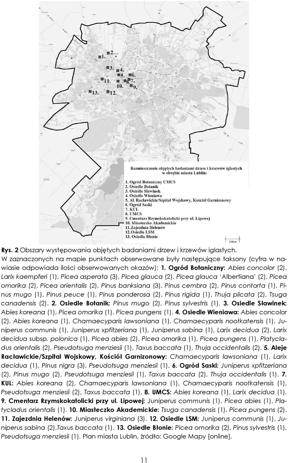 Ogród Botaniczny: Abies concolor (2), Larix kaempferi (1), Picea asperata (3), Picea glauca (2), Picea glauca Albertiana (2), Picea omorika (2), Picea orientalis (2), Pinus banksiana (3), Pinus