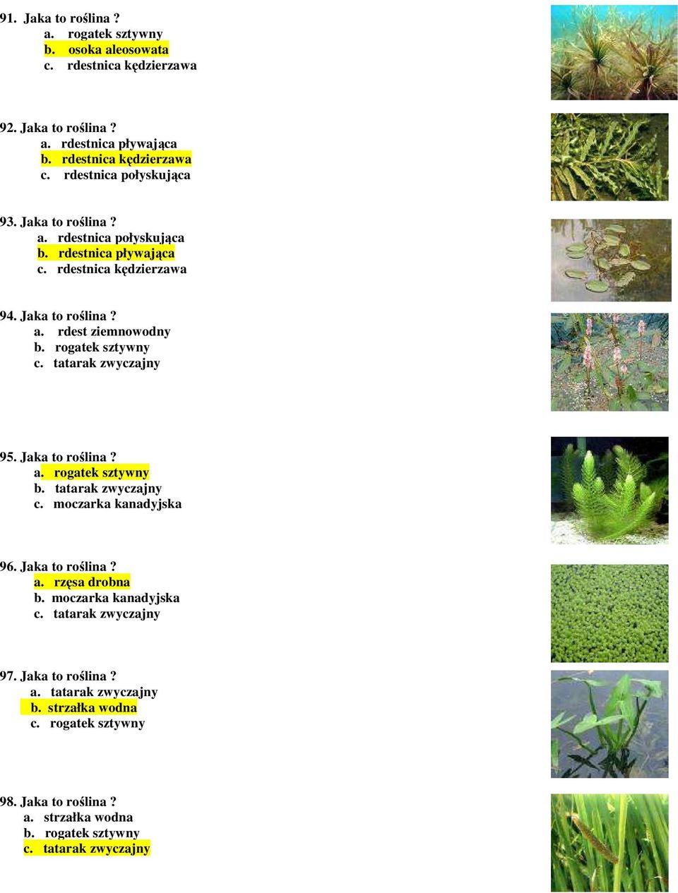 rogatek sztywny c. tatarak zwyczajny 95. Jaka to roślina? a. rogatek sztywny b. tatarak zwyczajny c. moczarka kanadyjska 96. Jaka to roślina? a. rzęsa drobna b.