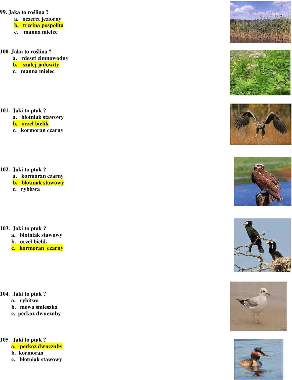 błotniak stawowy c. rybitwa 103. Jaki to ptak? a. błotniak stawowy b. orzeł bielik c. kormoran czarny 104. Jaki to ptak? a. rybitwa b.