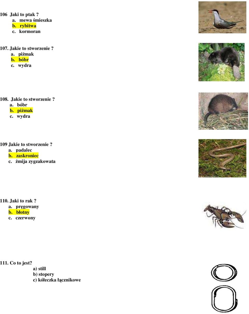 wydra 109 Jakie to stworzenie? a. padalec b. zaskroniec c. Ŝmija zygzakowata 110.