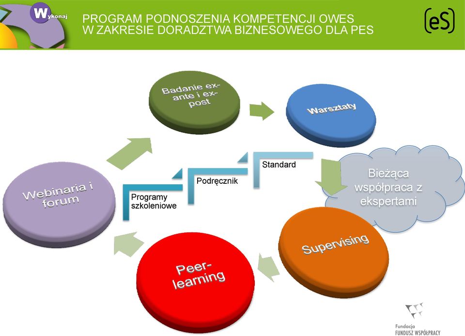 PES Programy szkoleniowe Podręcznik